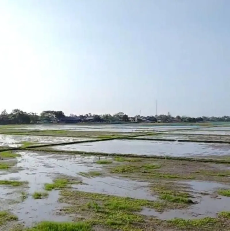 Tanah Luas di Talagasari, Kabupaten Karawang - adasale