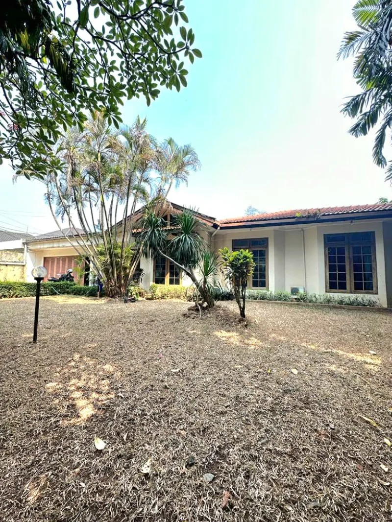 Rumah tua di kemang jakarta selatan - adasale