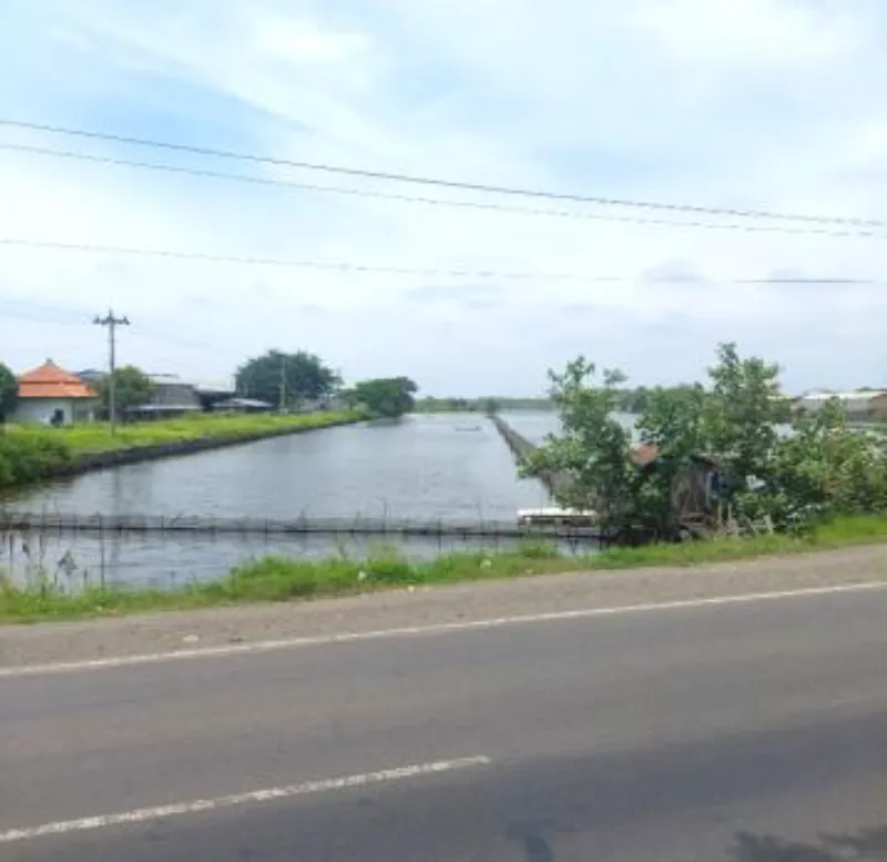 Tanah Kosong di Raya Arteri Kaliwungu, Kendal - adasale
