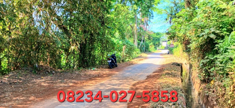 Tanah 1462 m2 Dkt Jl IB Mantra Keramas Gianyar - adasale
