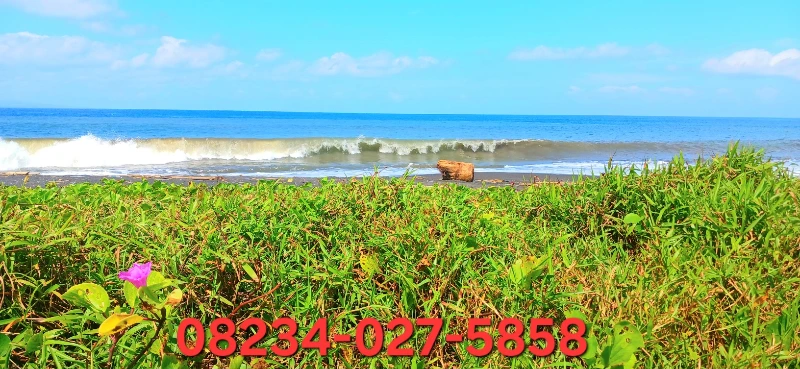 Los Pantai Jl IB Mantra Tulikup Gianyar Bali - adasale