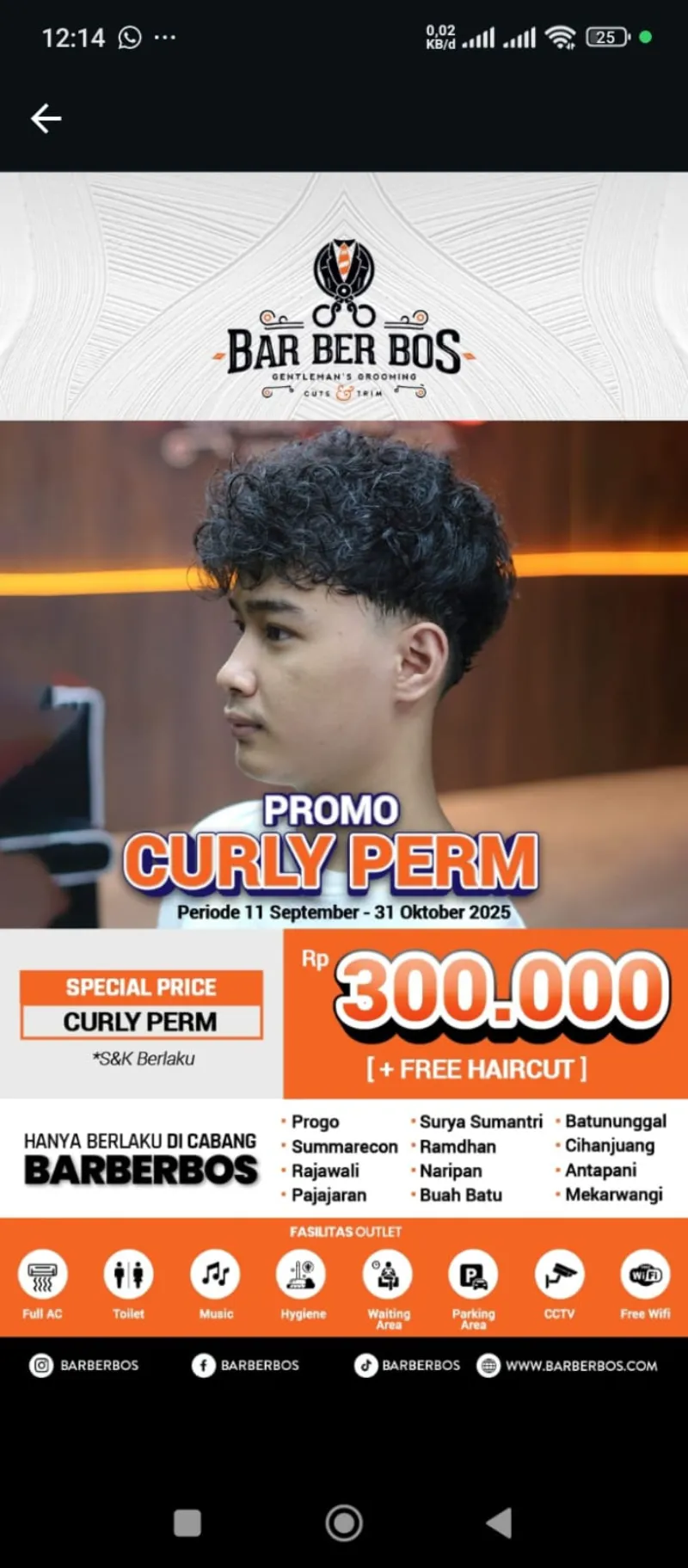 HAIR CURLY PREM - adasale