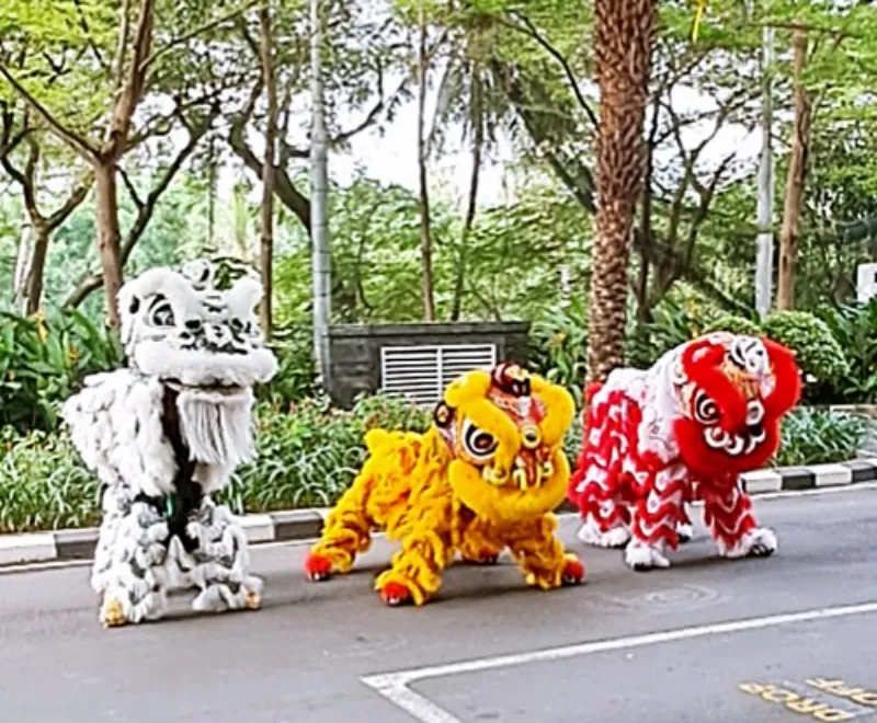 Sanggar Barongsai Kota Bandung - adasale